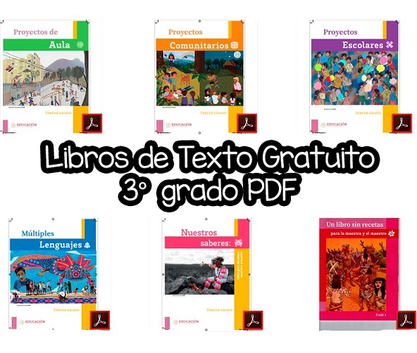 Libros de texto 3er grado 20242025 Diario Educación